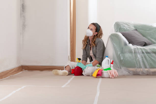 Reliable Mold Remediation contractor in Kenmore, WA by 24 Hour Mold Removal